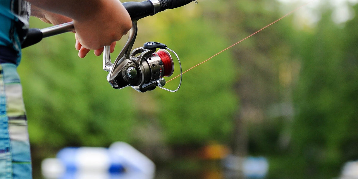 fishing rods reels in New South Wales  Gumtree Australia Free Local  Classifieds
