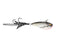 TT Swtichminnow 43mm Lures