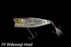 Jackall SK Pop Grande Surface Lures