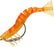 Samaki Live Shrimp 127mm Soft Plastic Lures