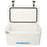 Companion 25L Ice Box with Bail Handle